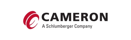Cameron Low Pressure Wellhead